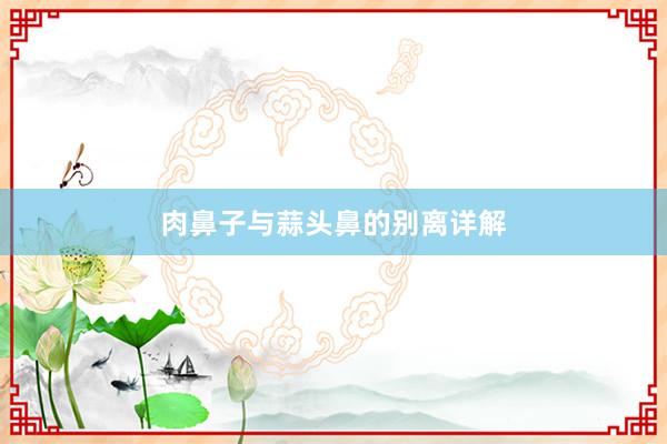 肉鼻子与蒜头鼻的别离详解